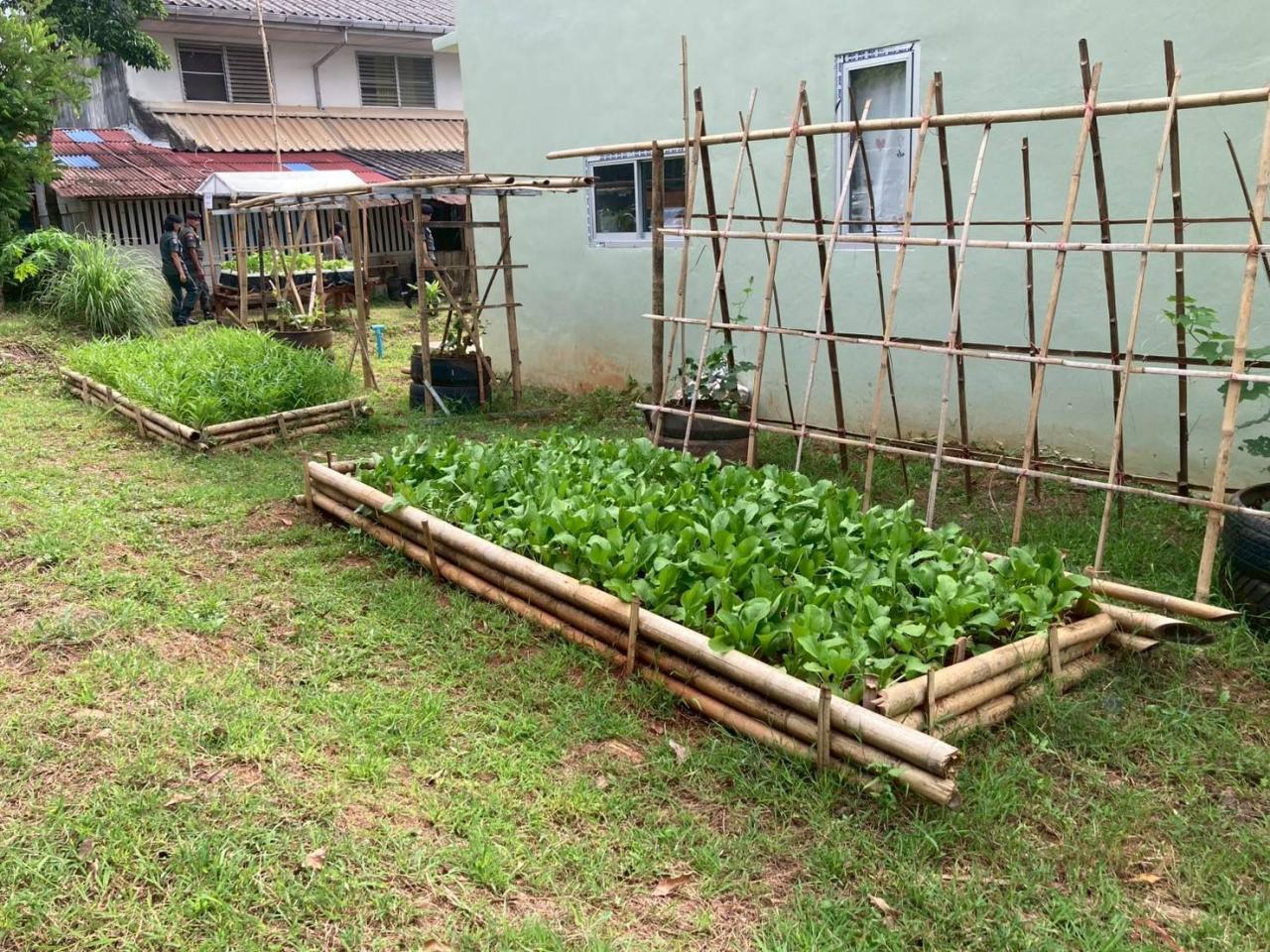 ภาพประกอบที่ 2