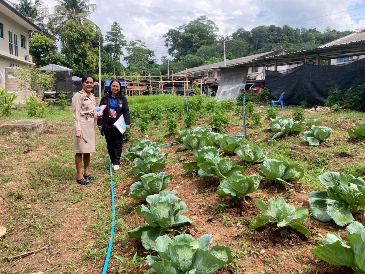 ภาพประกอบที่ 4
