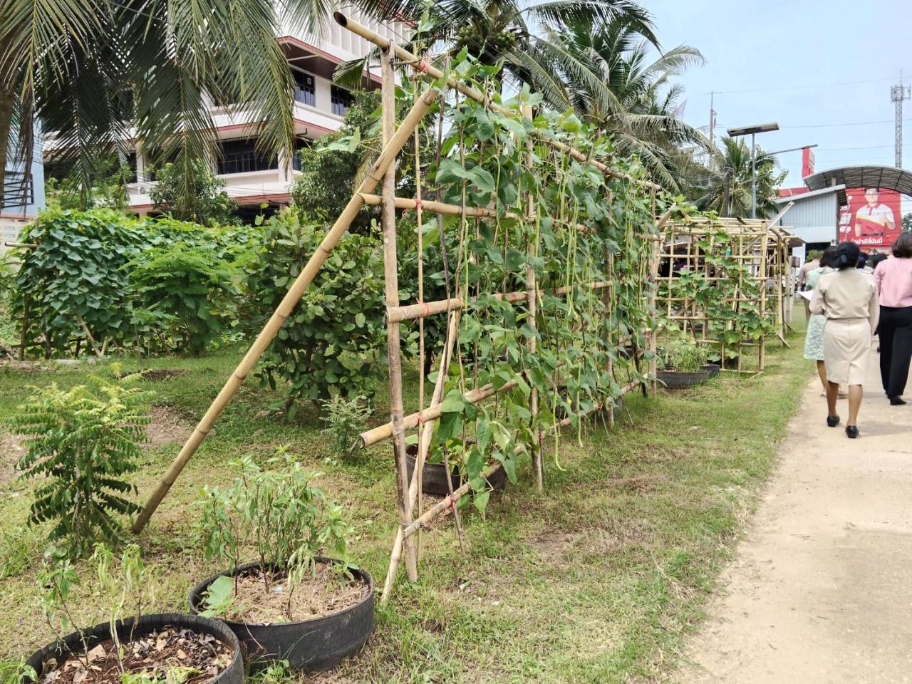 ภาพประกอบที่ 7