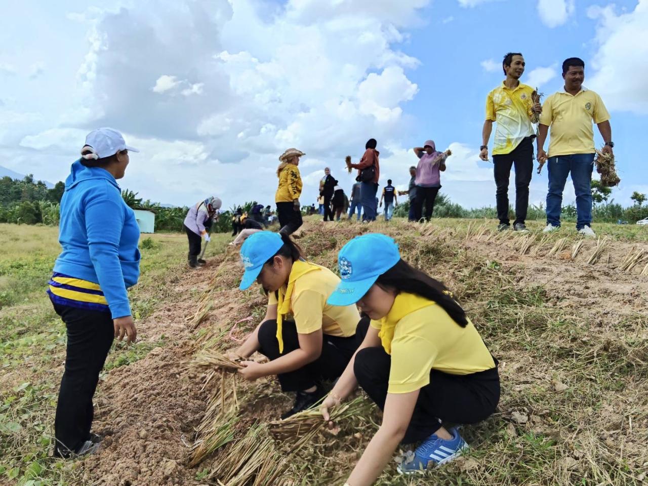 ภาพประกอบที่ 1