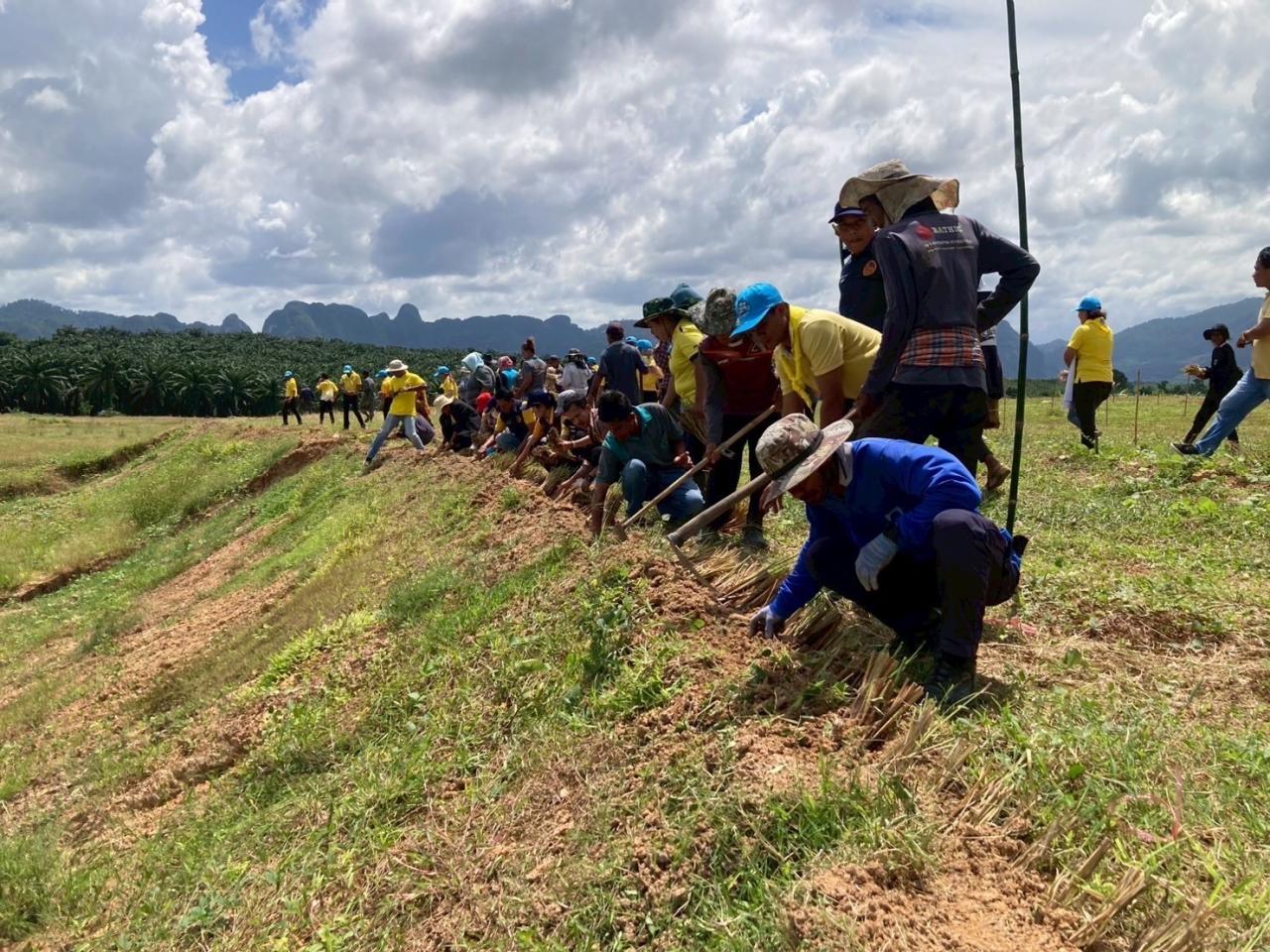 ภาพประกอบที่ 2