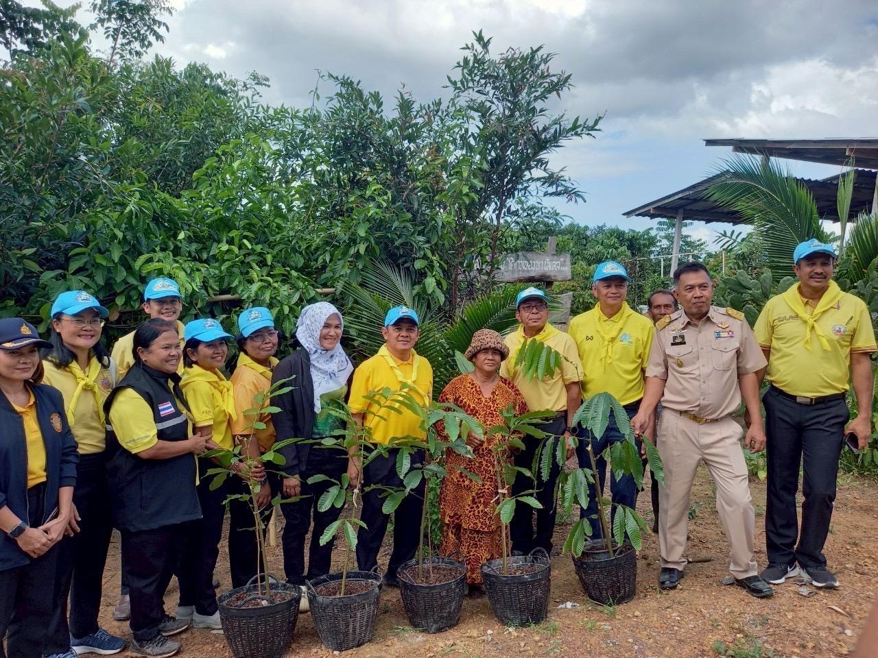 ภาพประกอบที่ 3