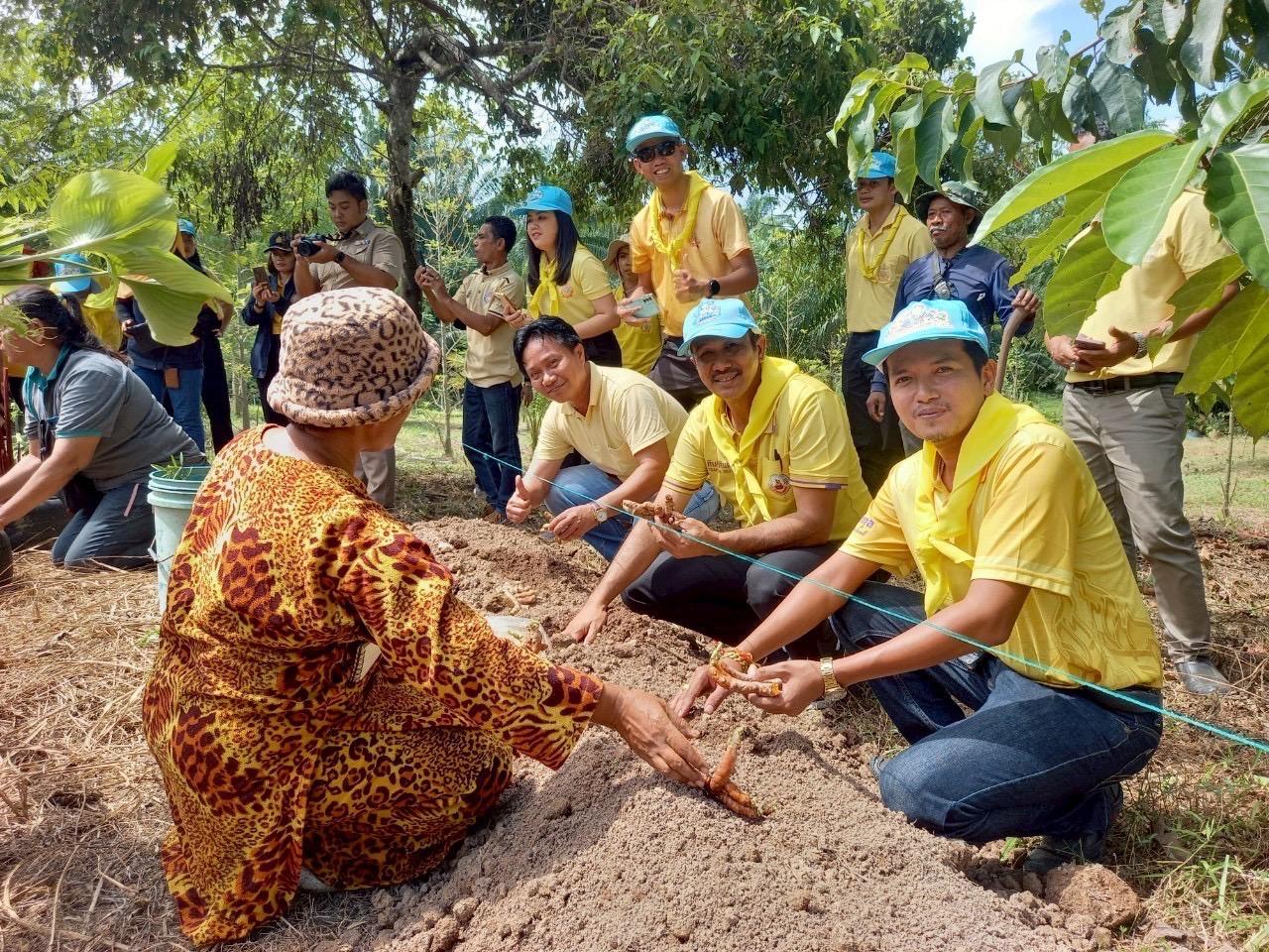 ภาพประกอบที่ 4