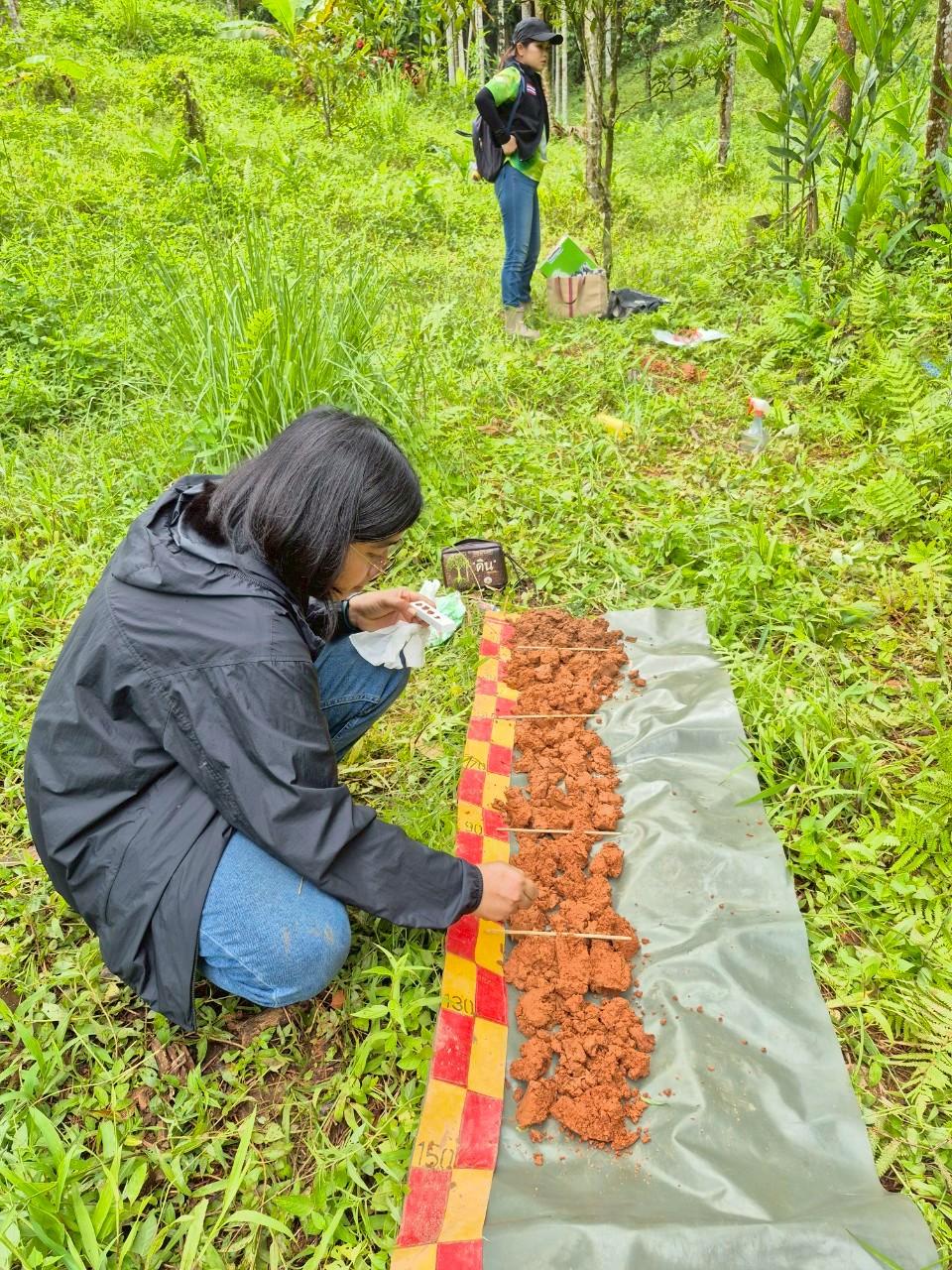 ภาพประกอบที่ 1