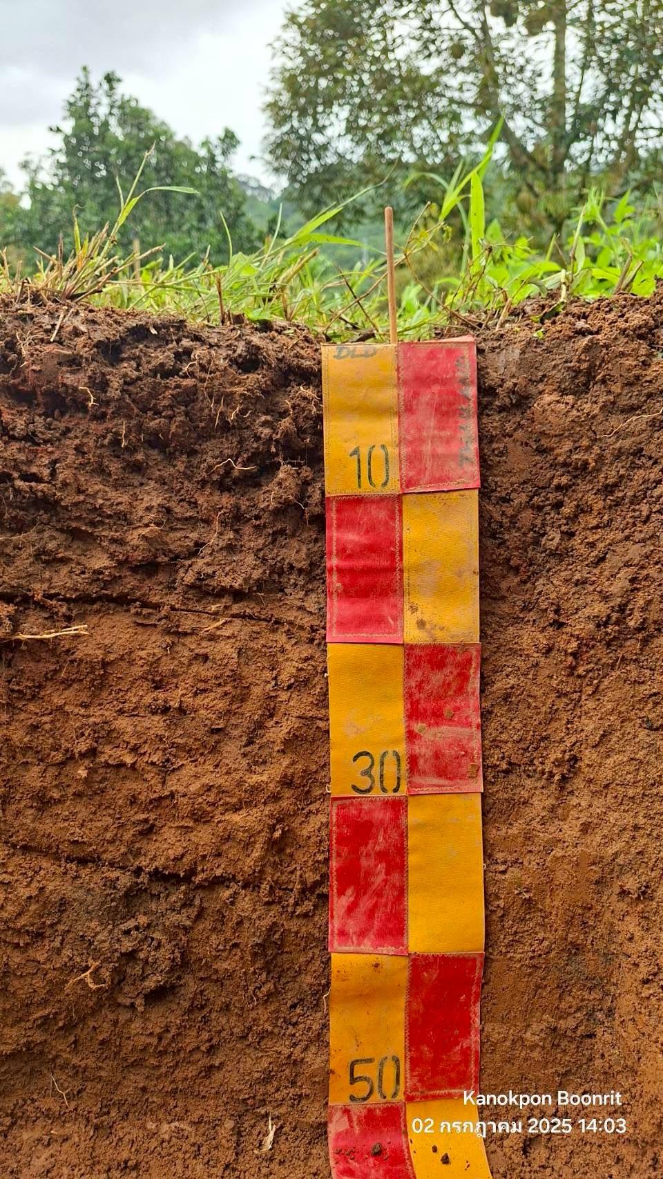 ภาพประกอบที่ 8