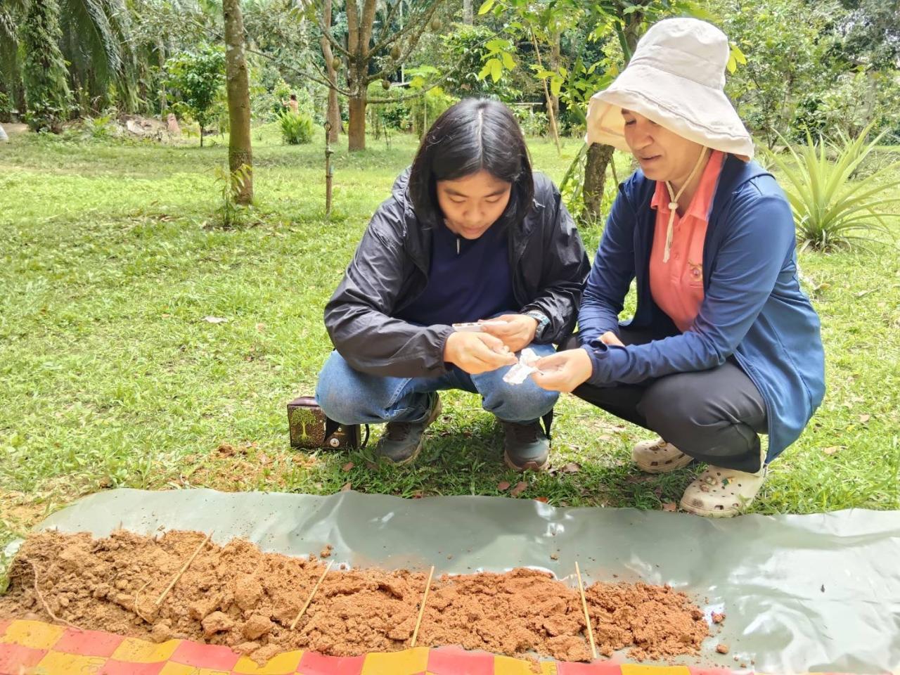 ภาพประกอบที่ 4