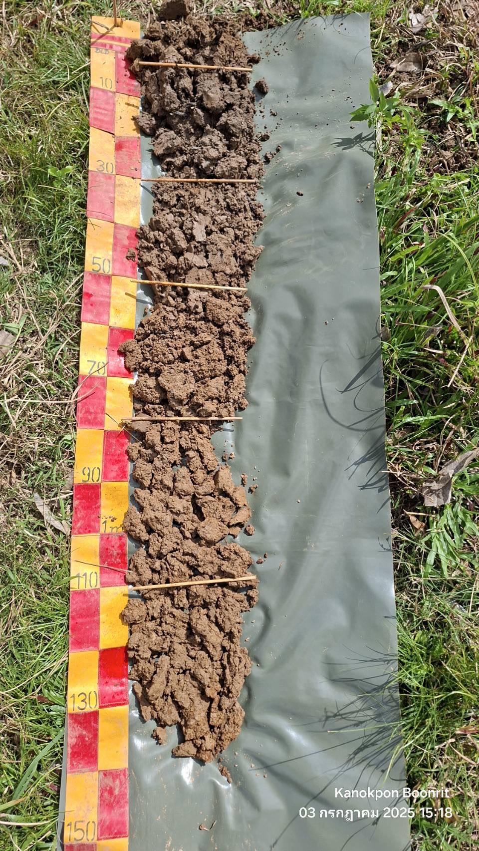 ภาพประกอบที่ 5