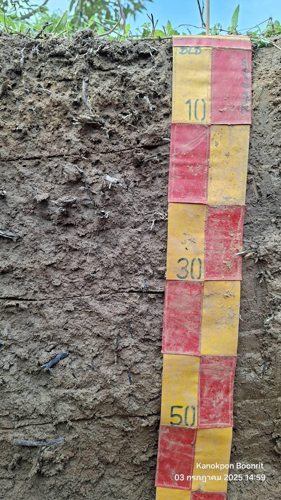 ภาพประกอบที่ 6