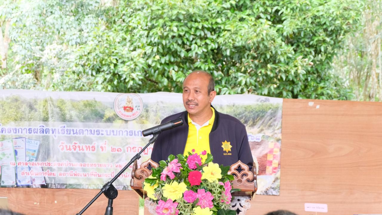 ภาพประกอบที่ 0