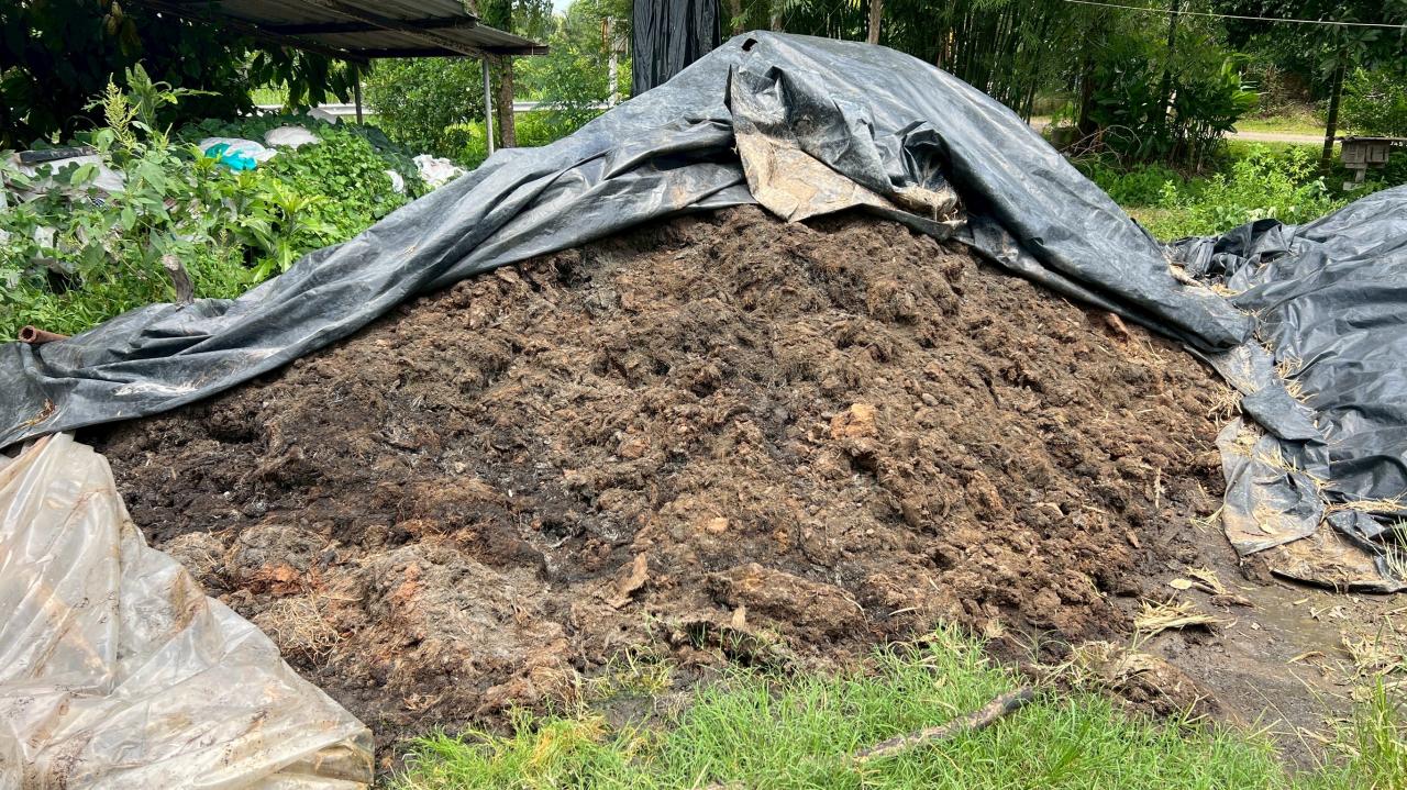 ภาพประกอบที่ 7