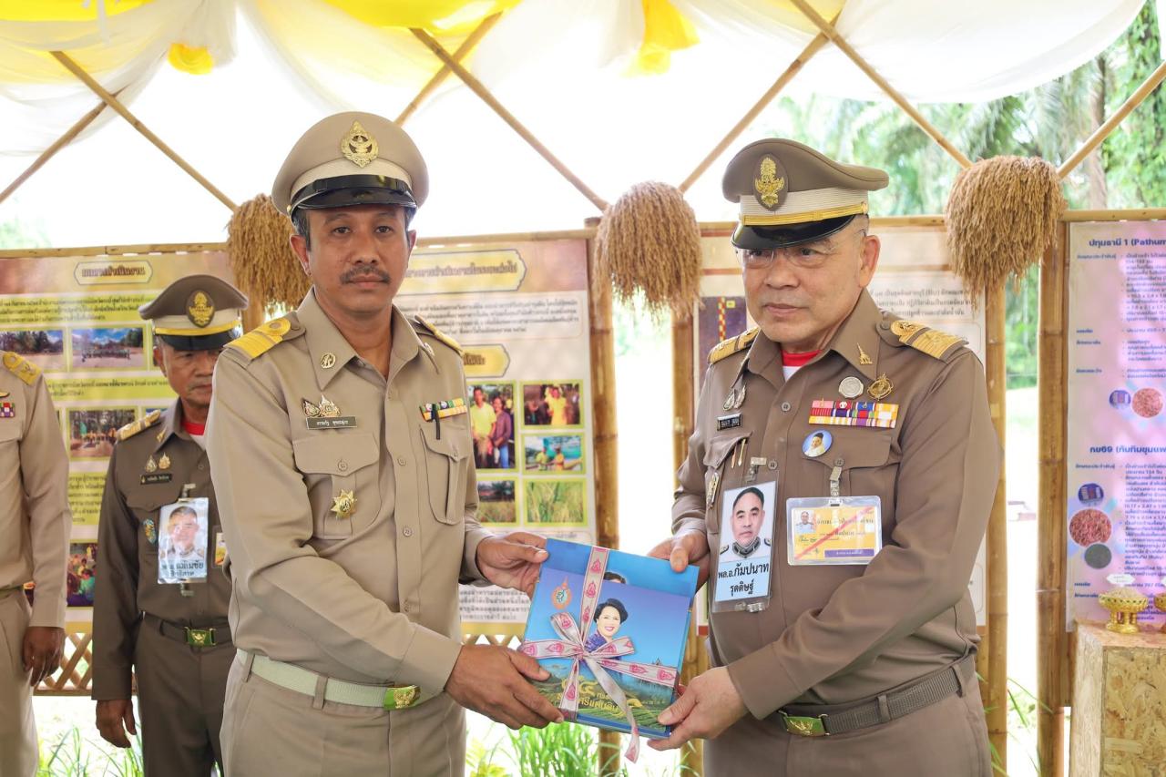 ภาพประกอบที่ 11