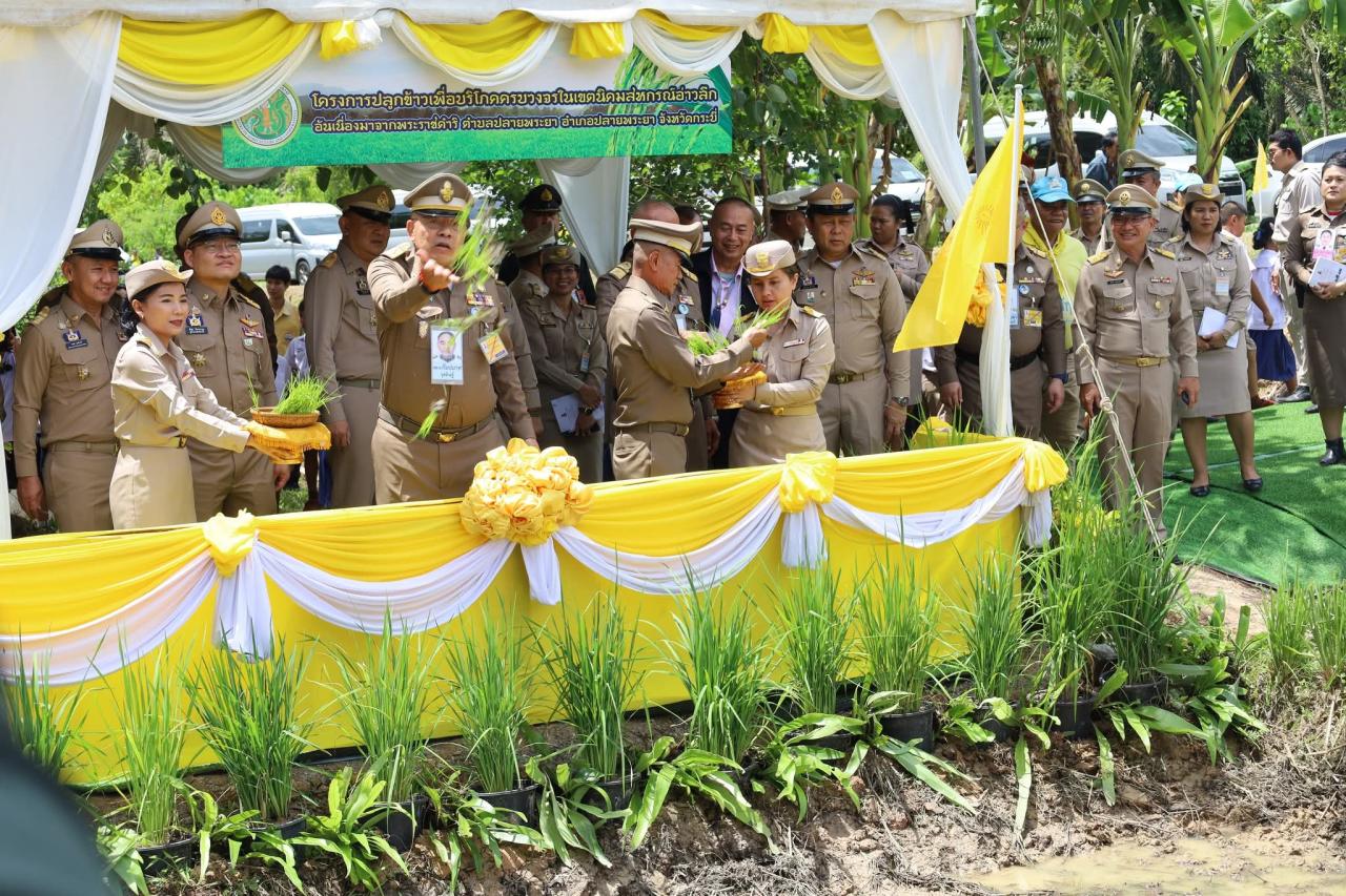 ภาพประกอบที่ 12