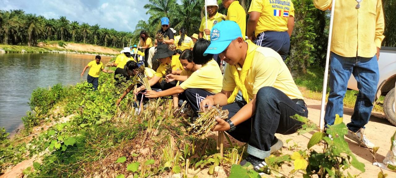 ภาพประกอบที่ 1