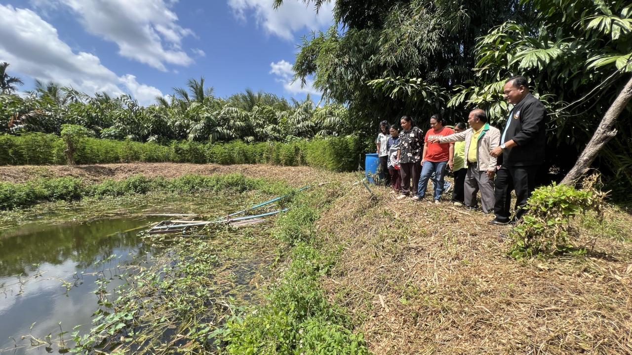 ภาพประกอบที่ 4