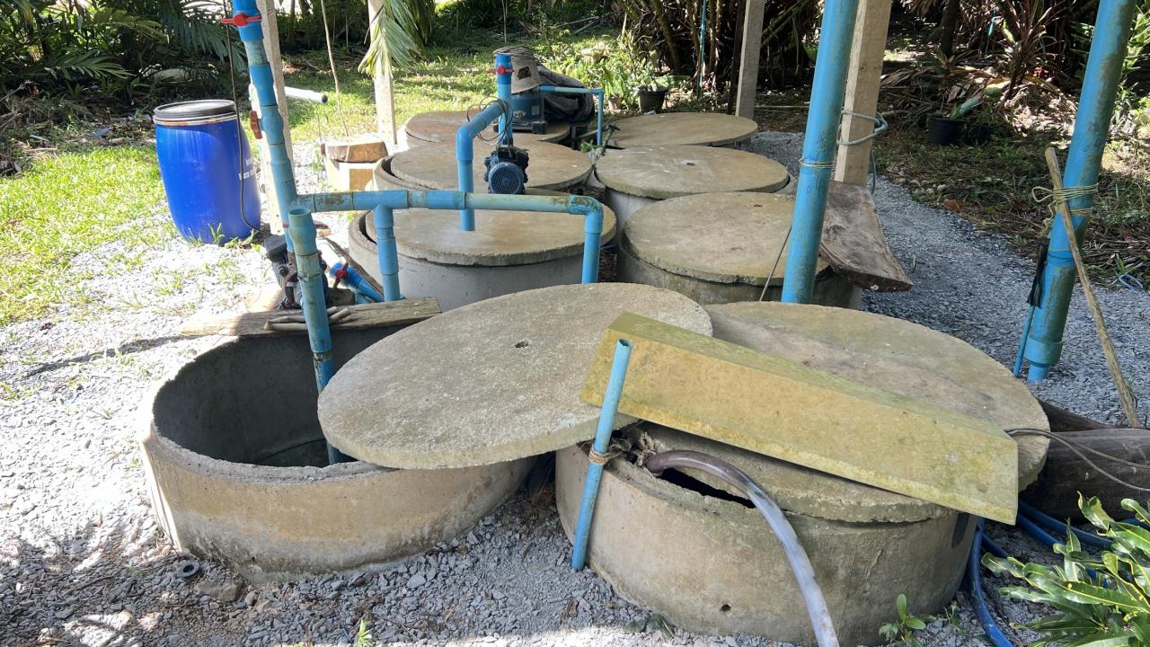 ภาพประกอบที่ 5