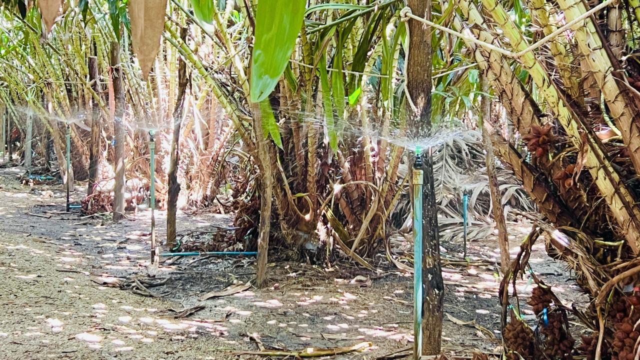 ภาพประกอบที่ 7