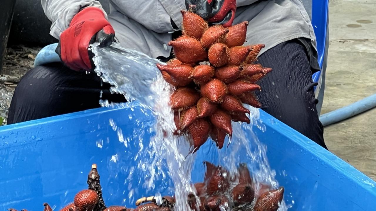 ภาพประกอบที่ 8