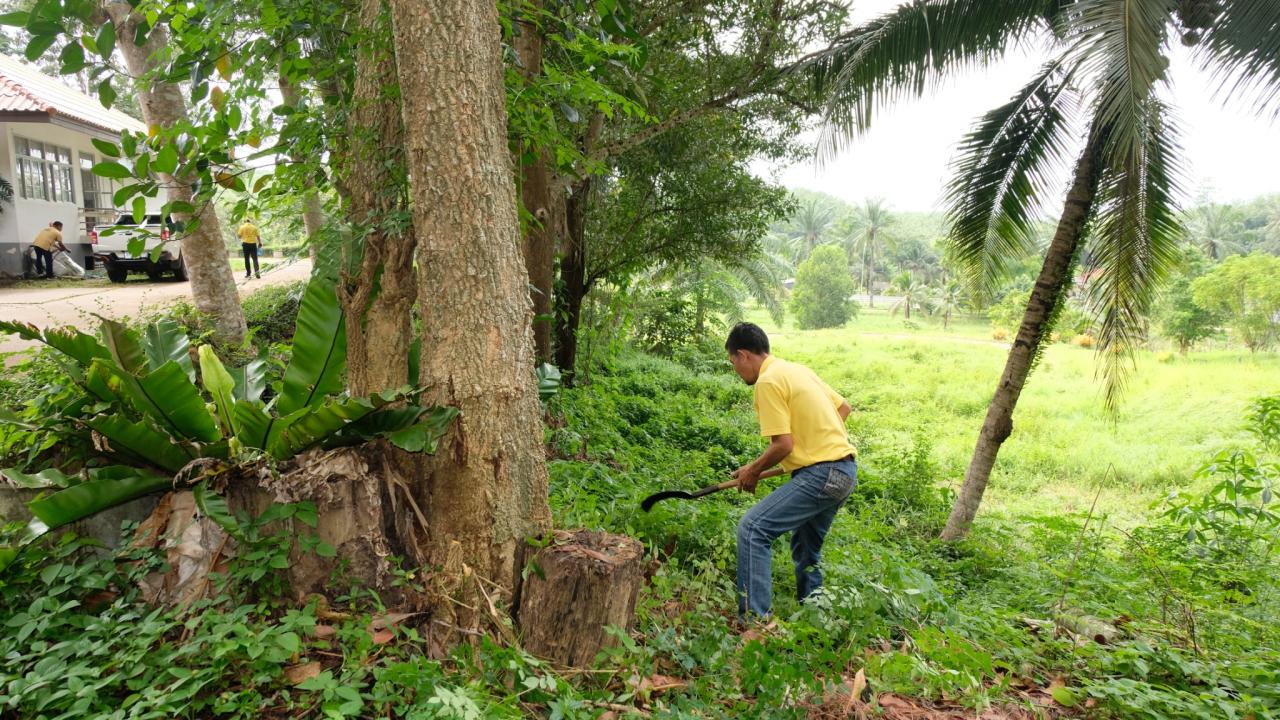 ภาพประกอบที่ 6