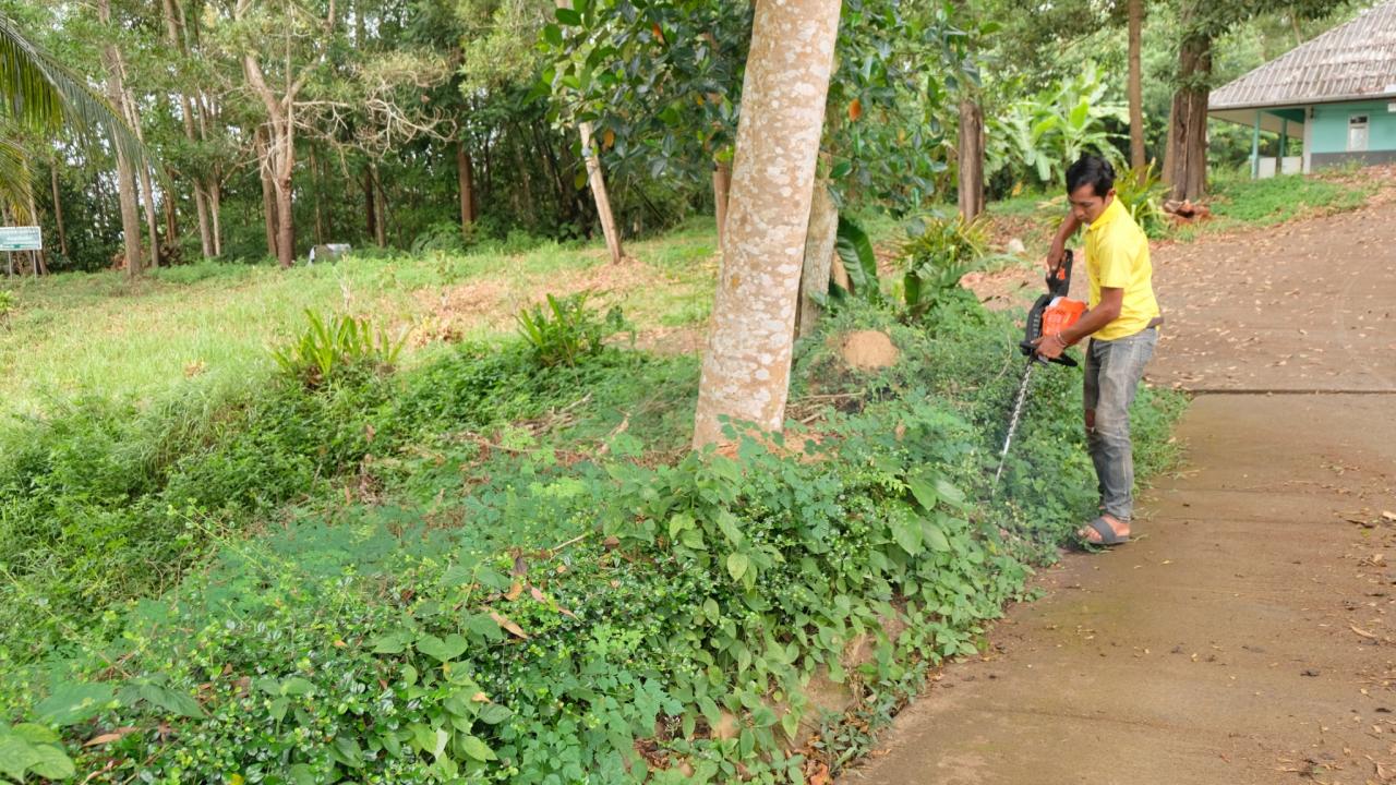 ภาพประกอบที่ 7