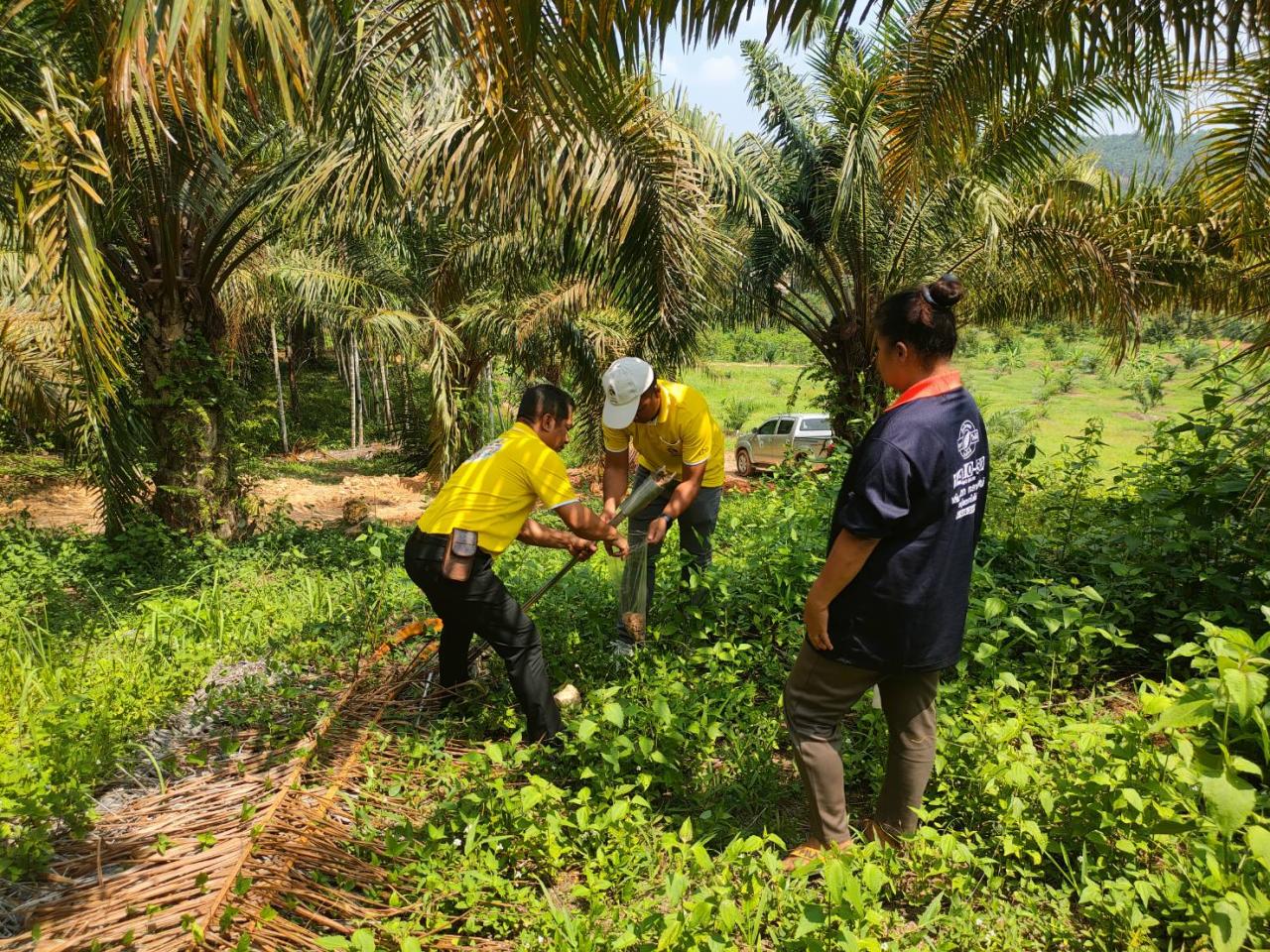 ภาพประกอบที่ 3