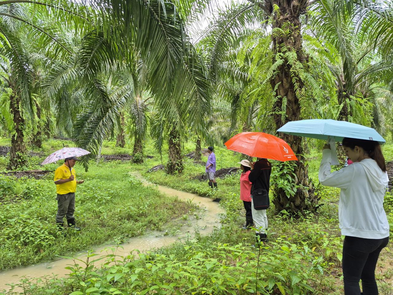 ภาพประกอบที่ 1