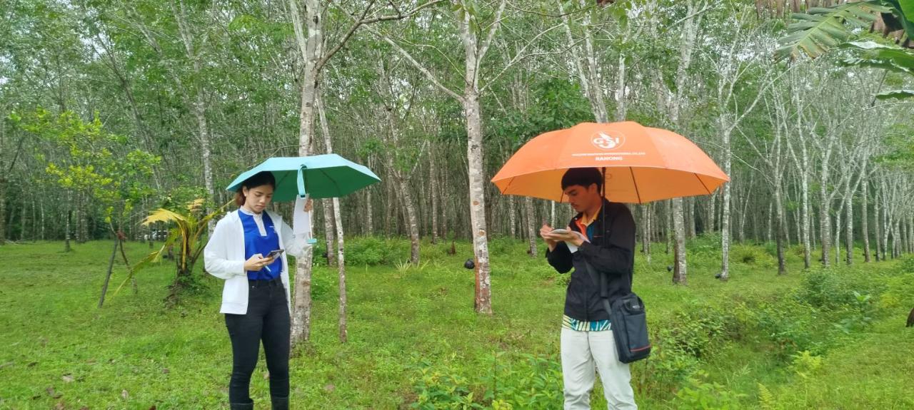 ภาพประกอบที่ 2