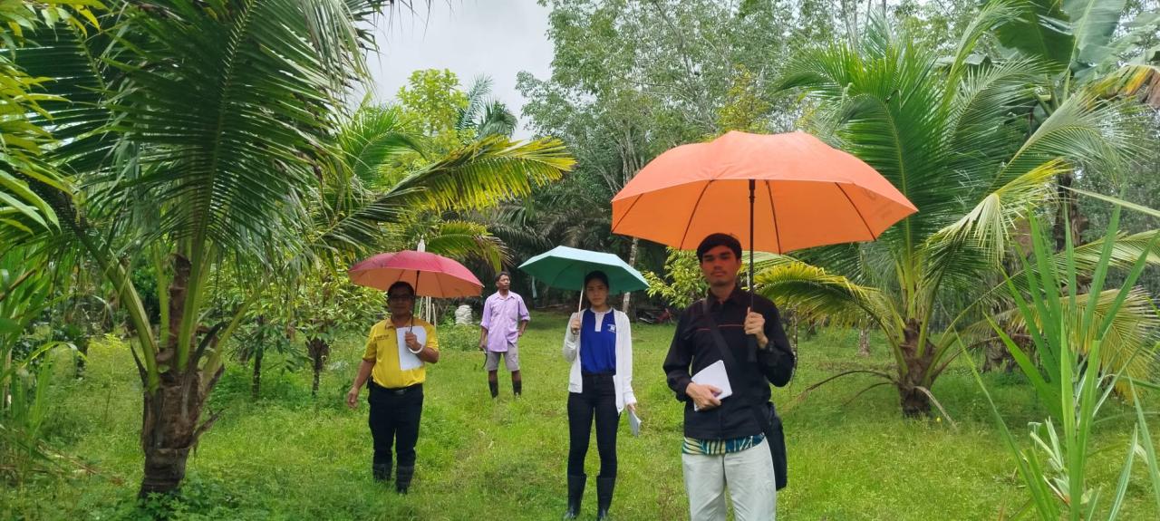 ภาพประกอบที่ 3