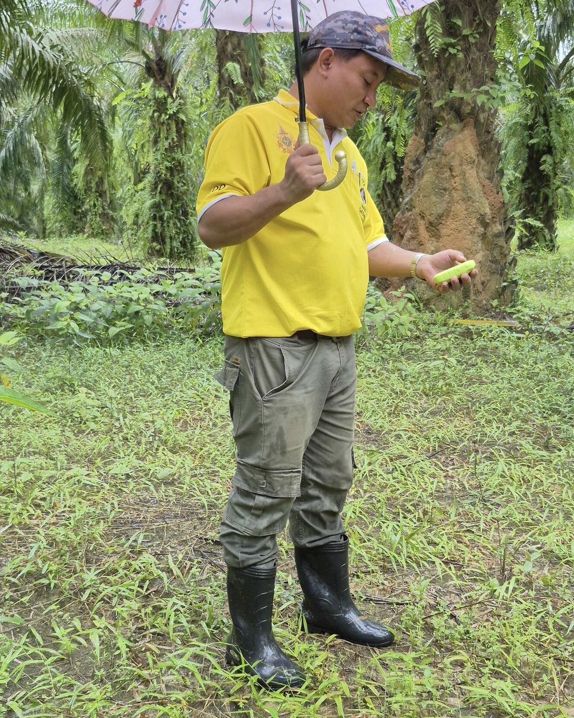 ภาพประกอบที่ 0