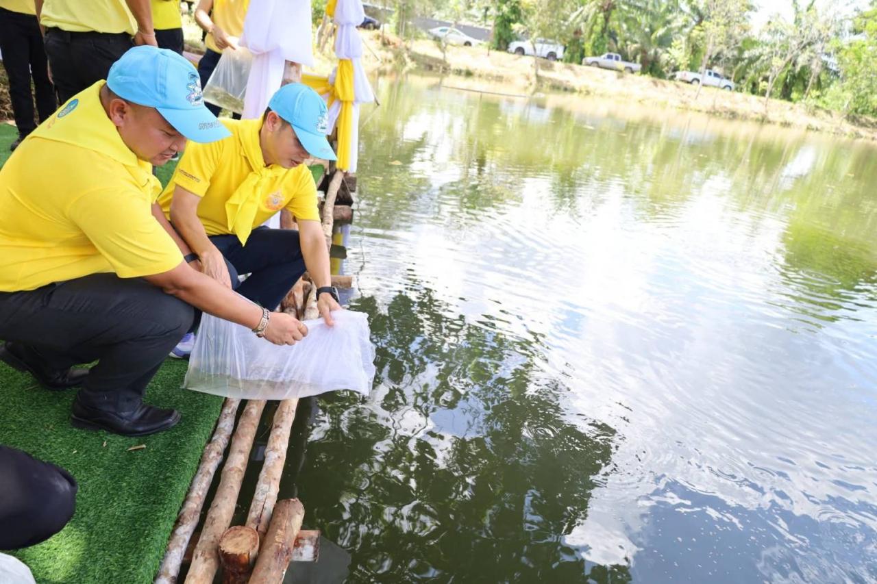 ภาพประกอบที่ 7