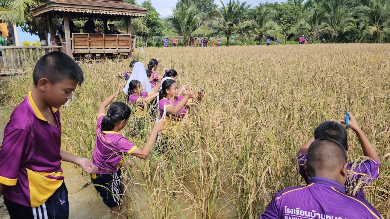 ภาพประกอบที่ 5