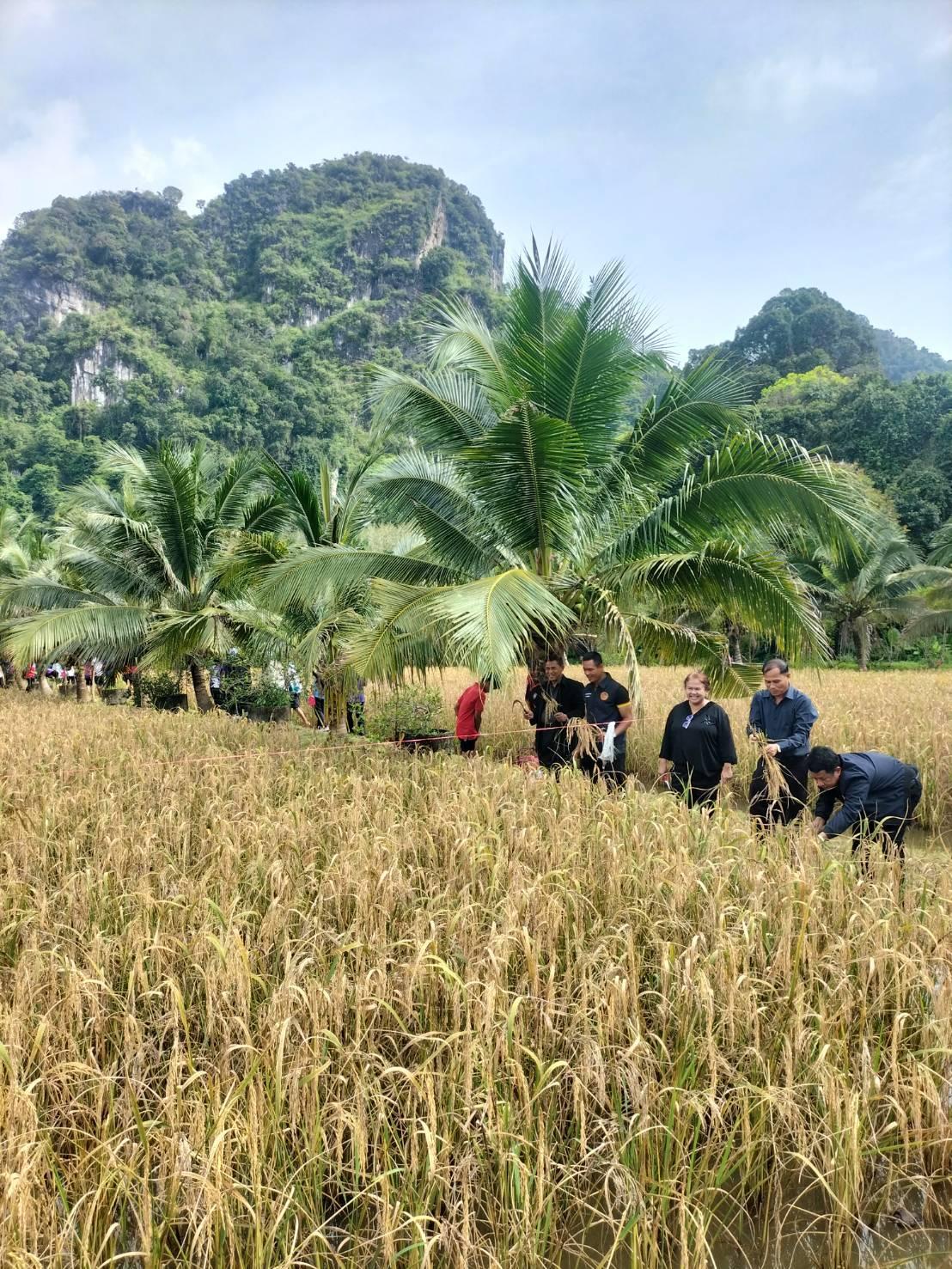ภาพประกอบที่ 6