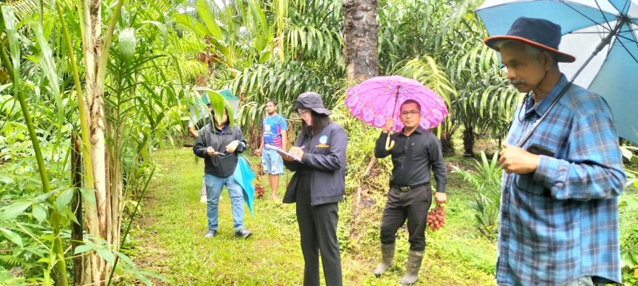 ภาพประกอบที่ 6