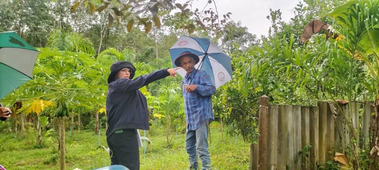 ภาพประกอบที่ 8