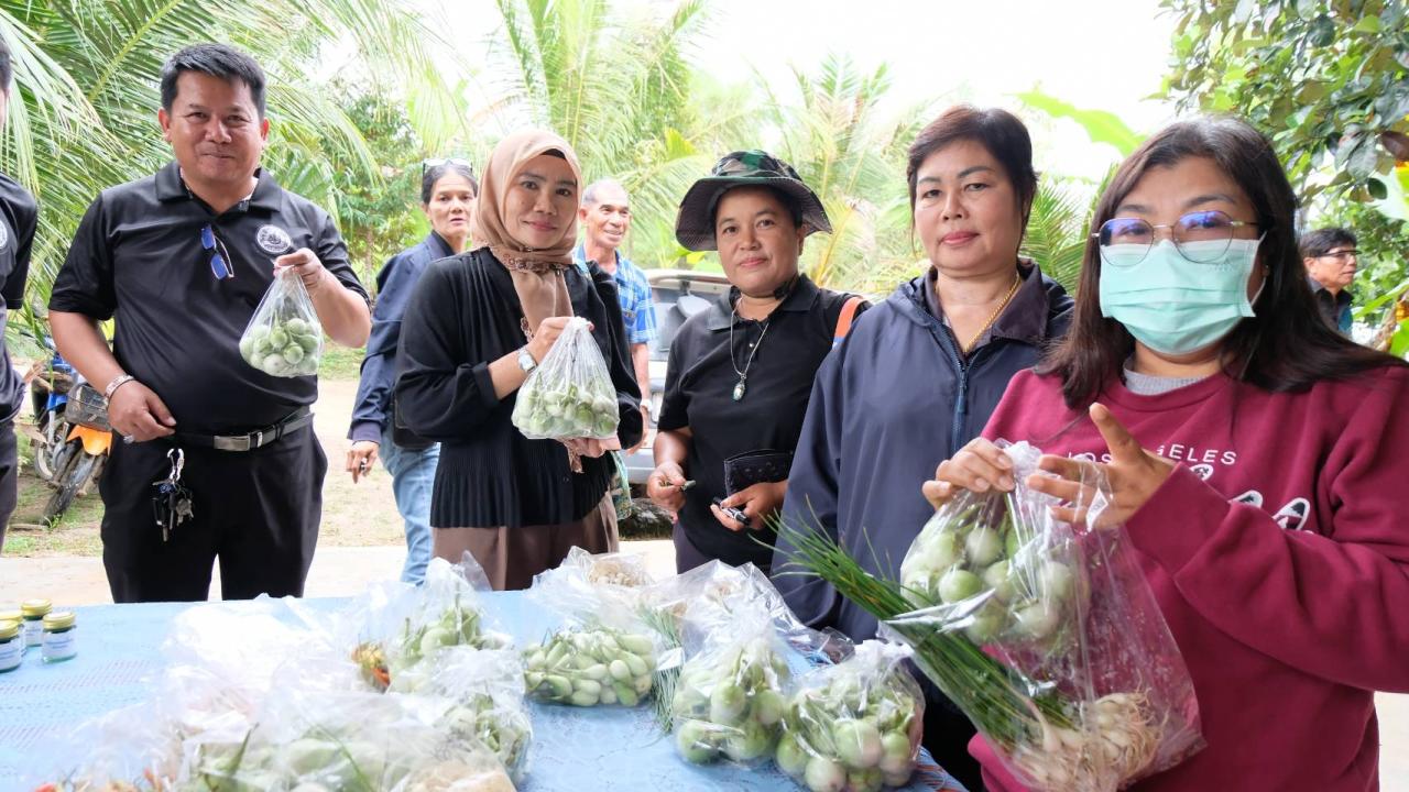 ภาพประกอบที่ 9