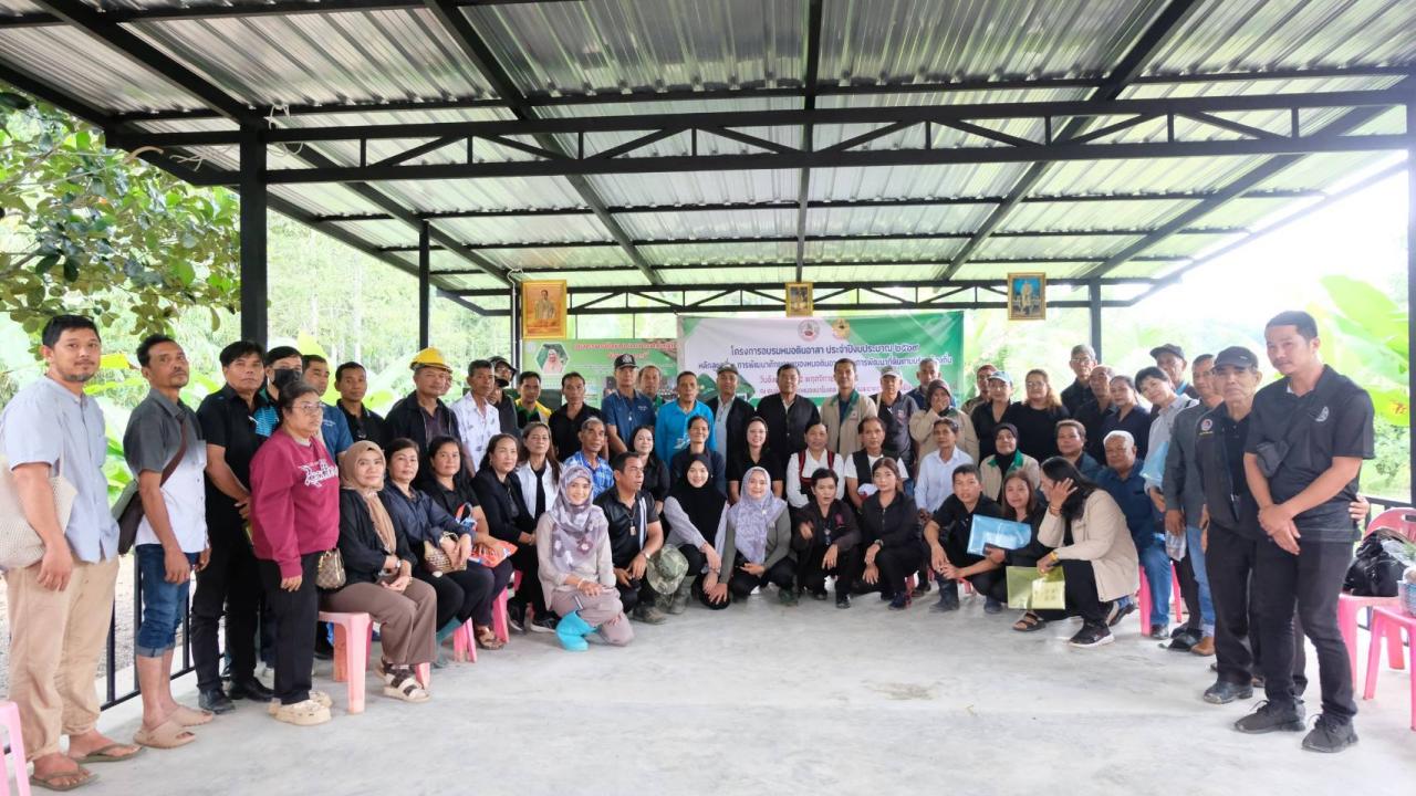 ภาพประกอบที่ 11