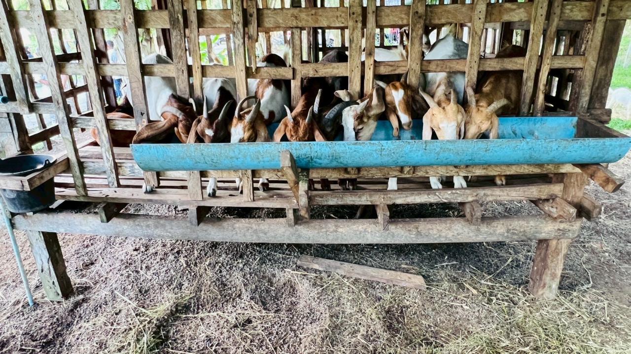 ภาพประกอบที่ 6