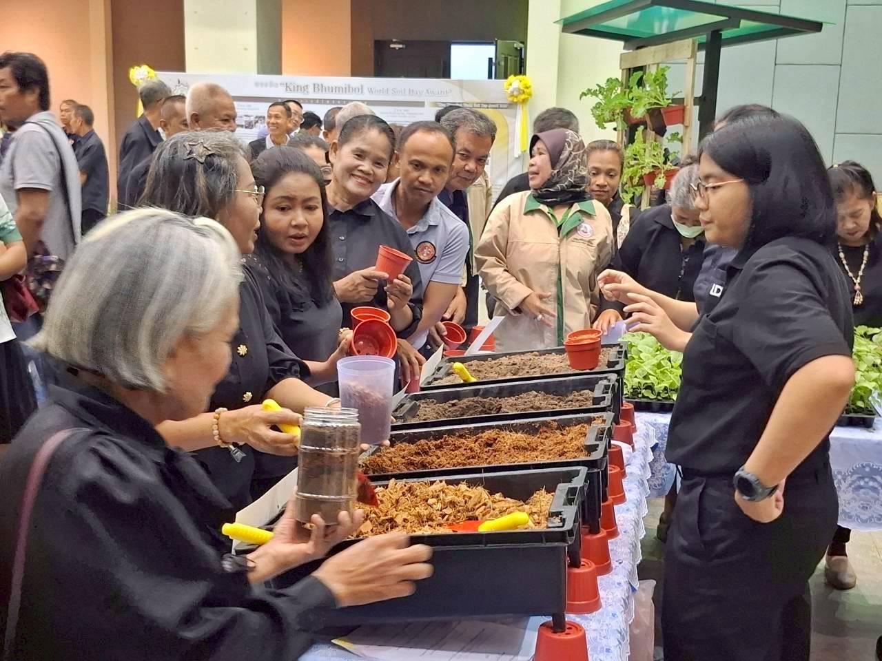 ภาพประกอบที่ 11