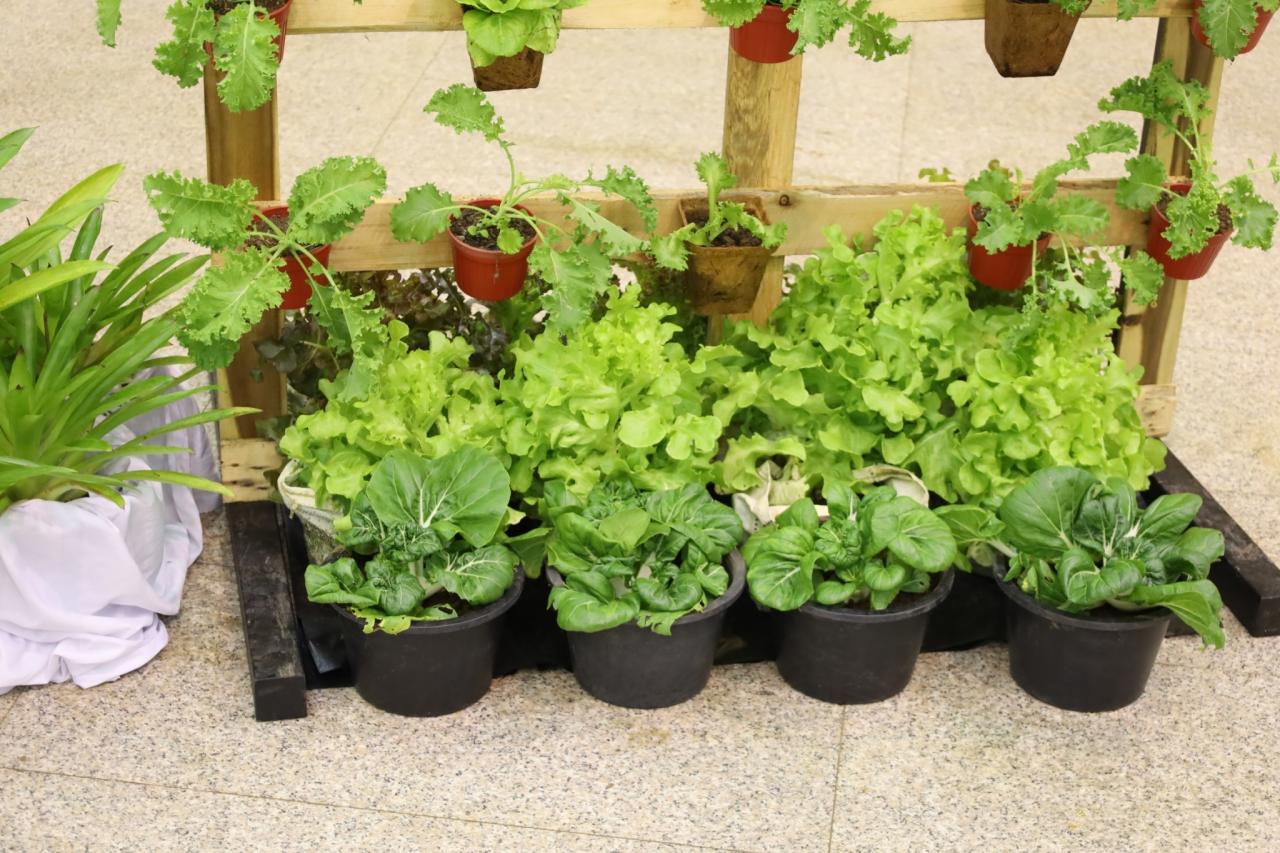 ภาพประกอบที่ 13