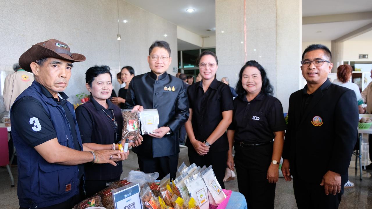 ภาพประกอบที่ 15