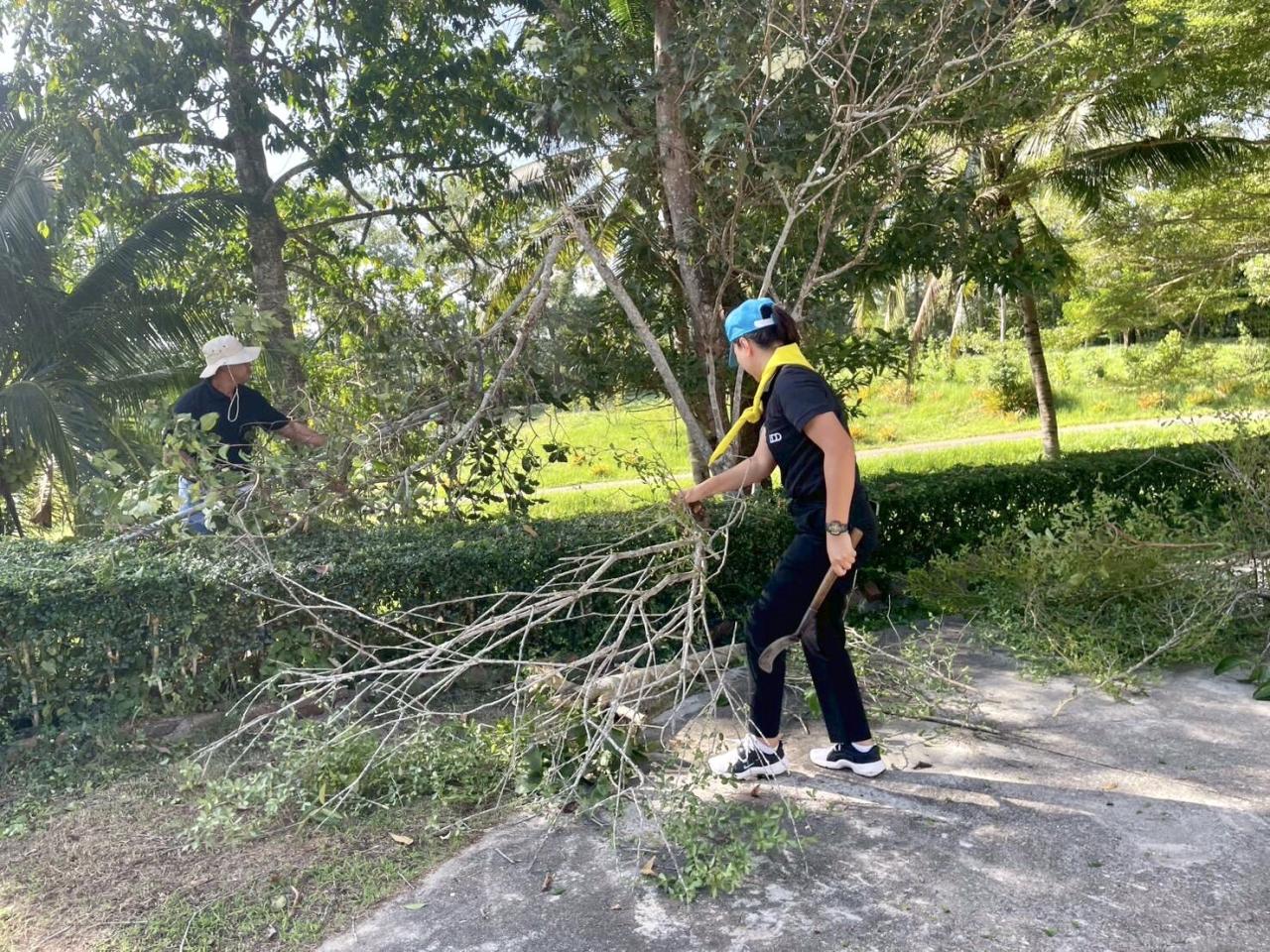 ภาพประกอบที่ 5