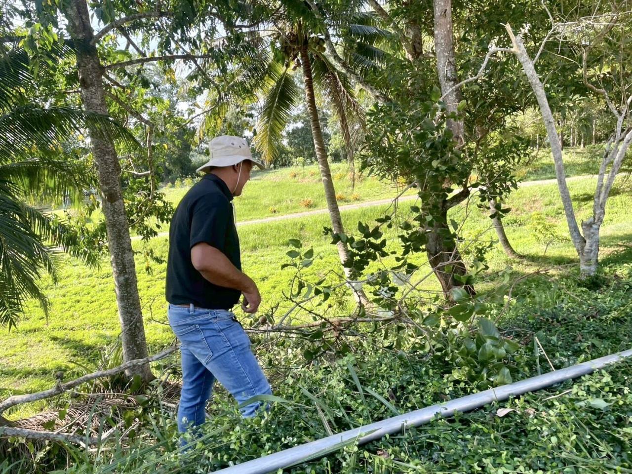 ภาพประกอบที่ 6