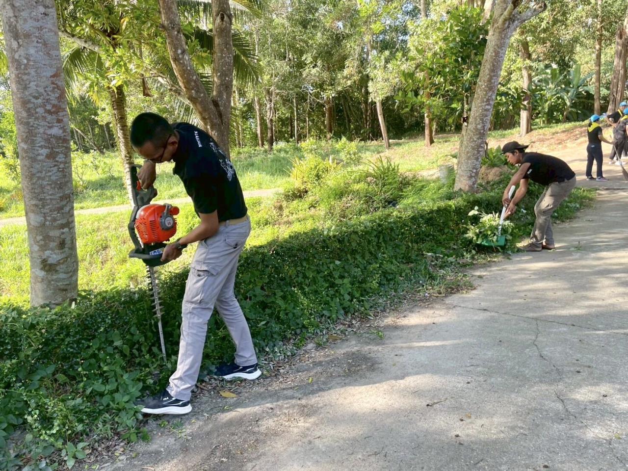 ภาพประกอบที่ 8