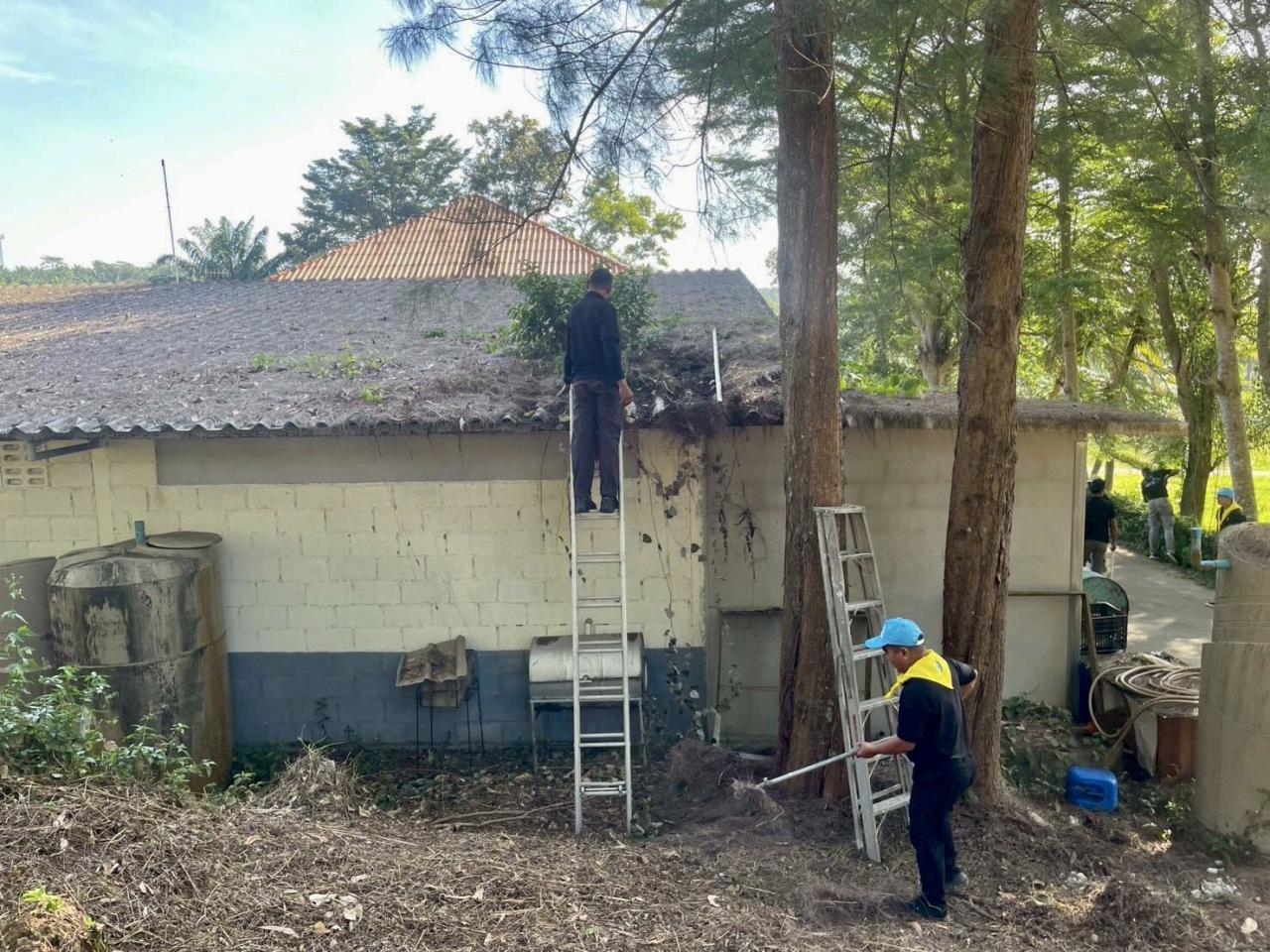 ภาพประกอบที่ 10