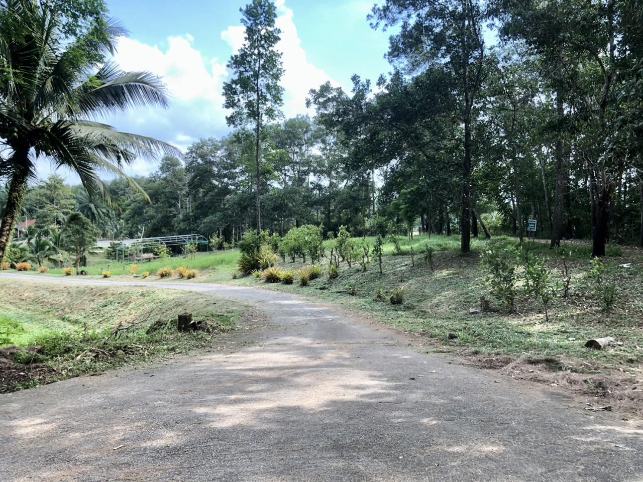 ภาพประกอบที่ 11