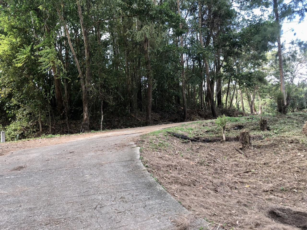 ภาพประกอบที่ 12