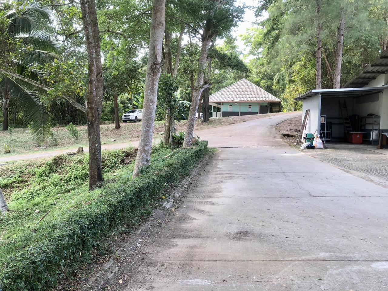 ภาพประกอบที่ 13