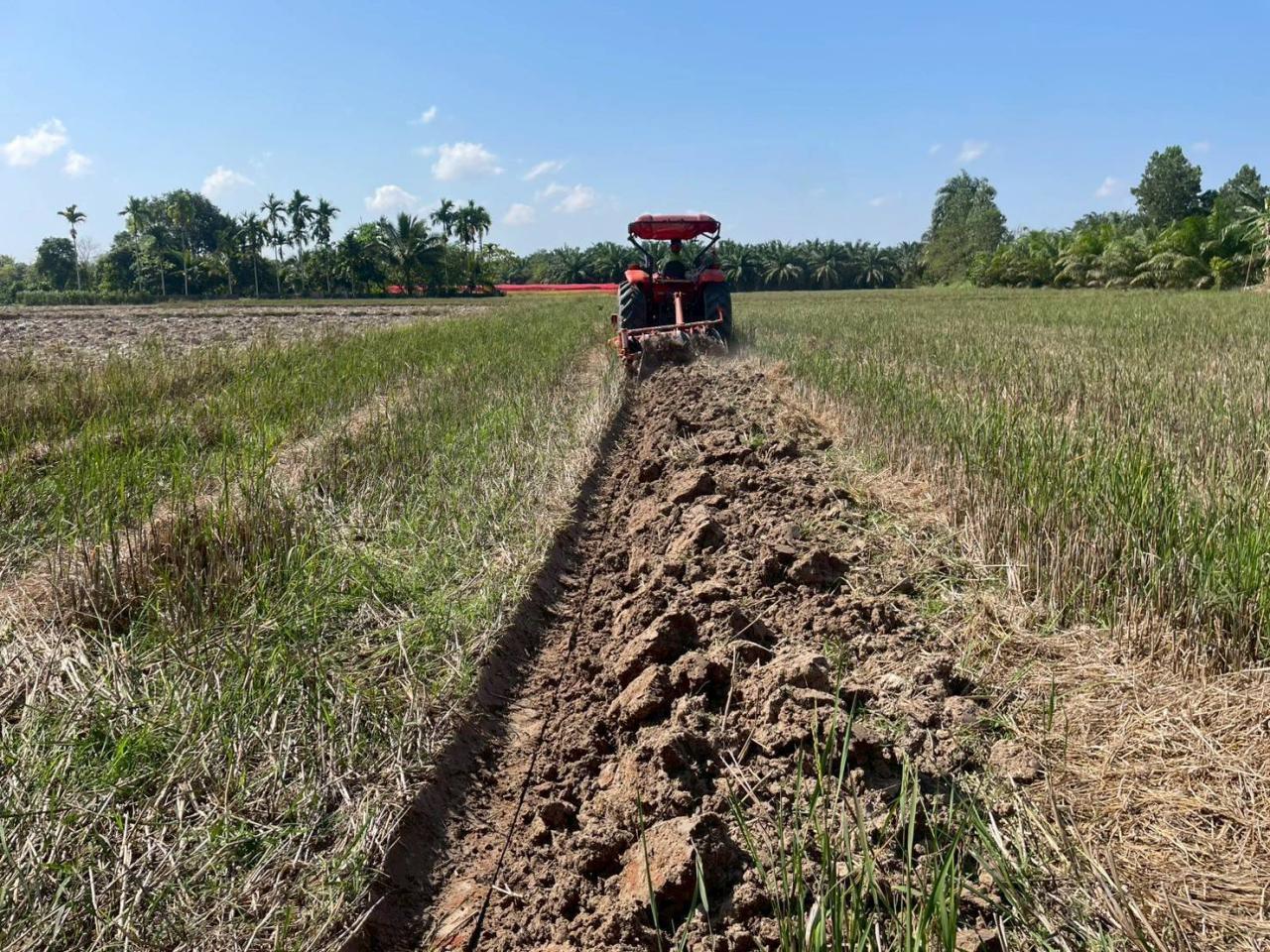 ภาพประกอบที่ 4
