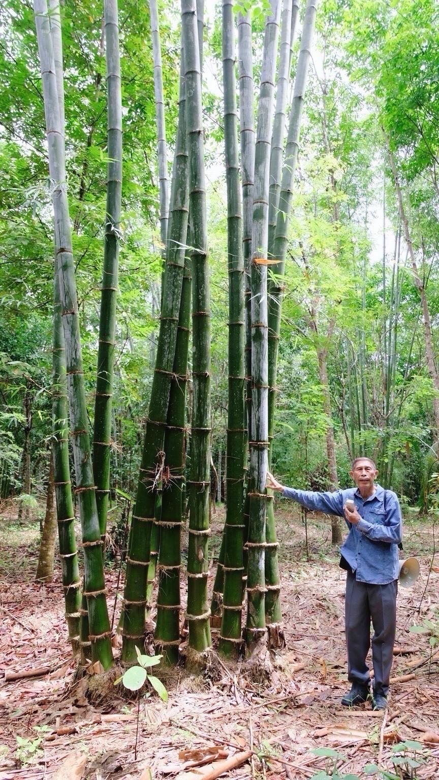 ภาพประกอบที่ 8