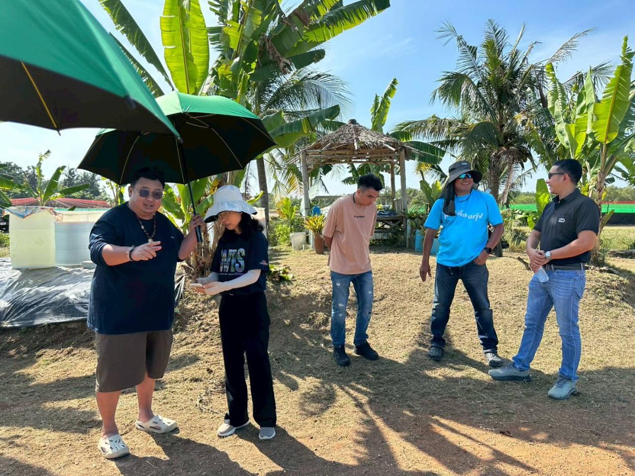 ภาพประกอบที่ 5