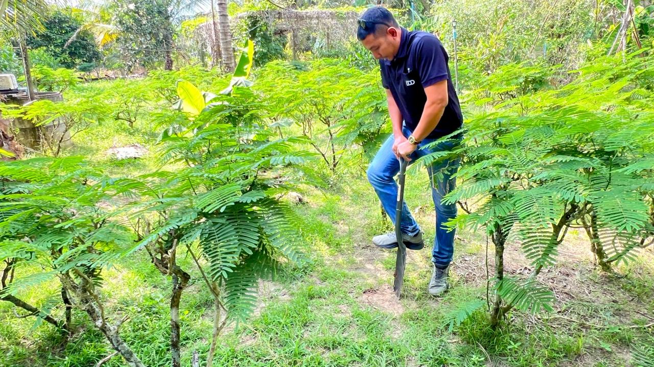 ภาพประกอบที่ 1